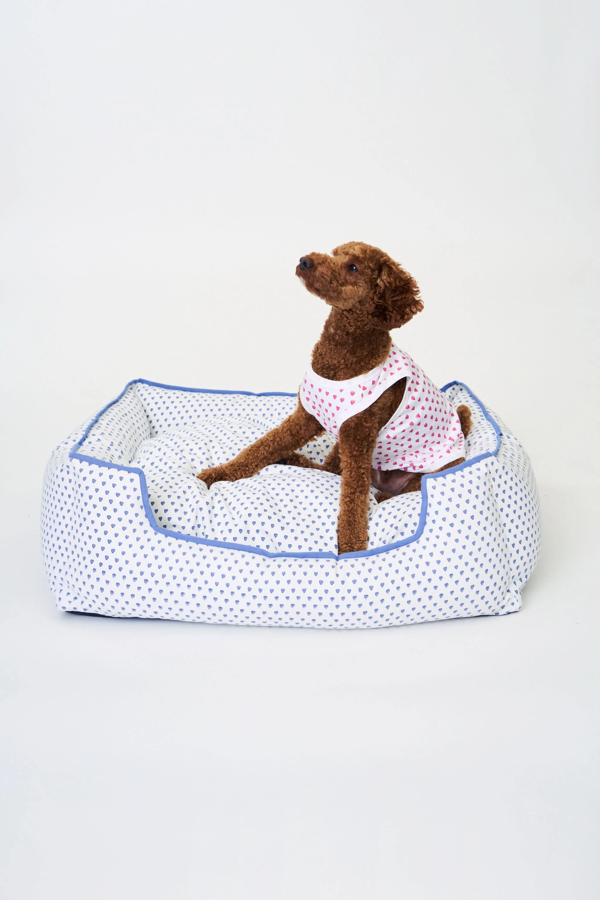 Hearts Dog Bed - Image 2
