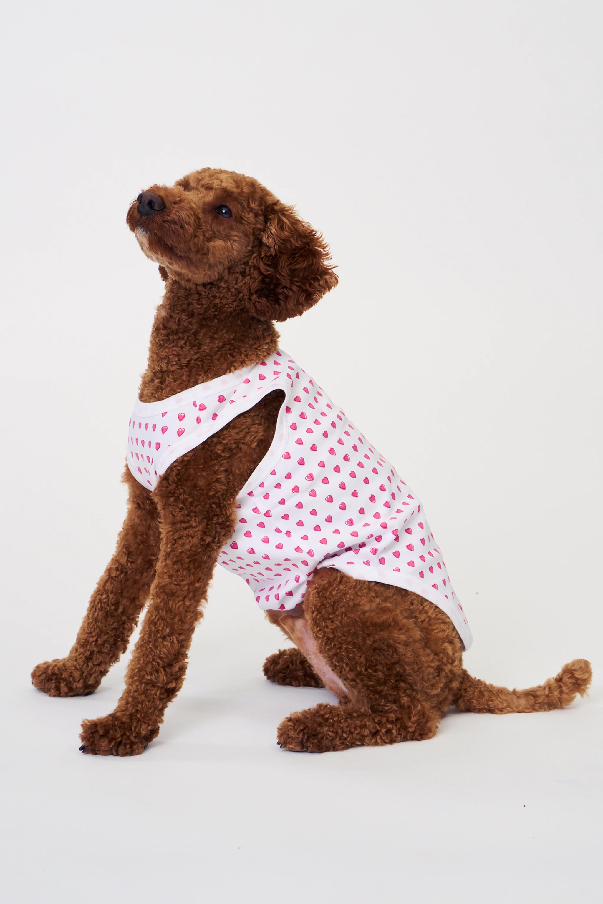 Hearts Dog Pajamas