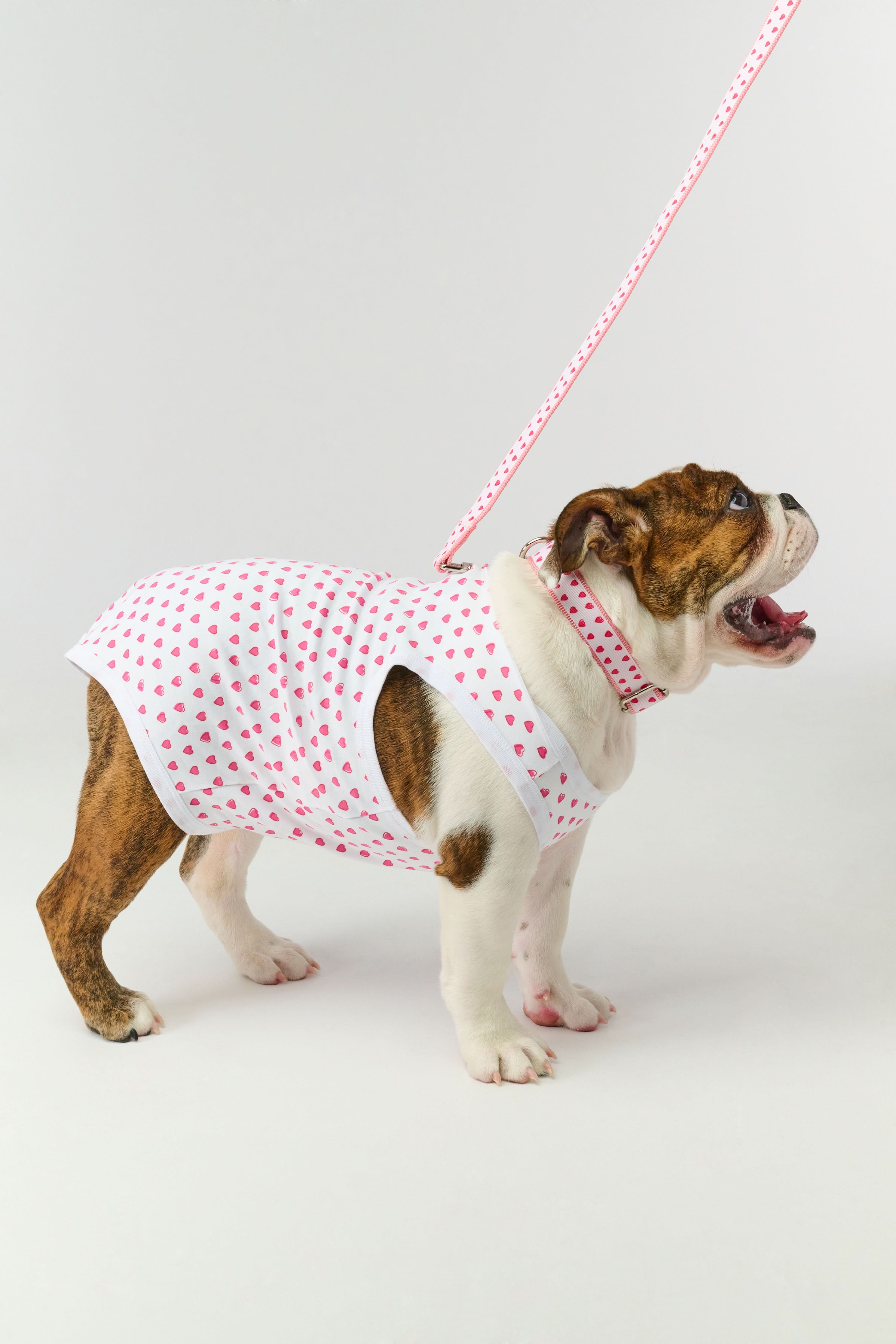 Hearts Dog Pajamas - Image 4